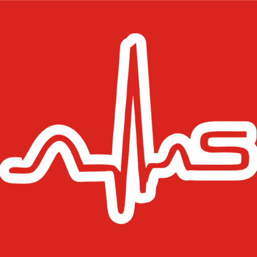 SYSTEMS INTELLIGENZ LTD